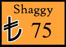 SHAGY